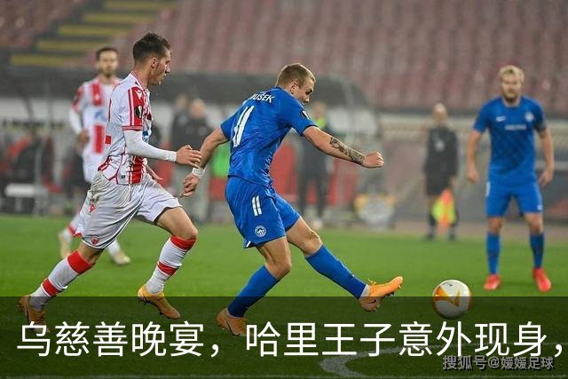 乌慈善晚宴，哈里王子意外现身，同一时间，威廉王子为舞会站台